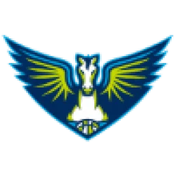 达拉斯飞翼
